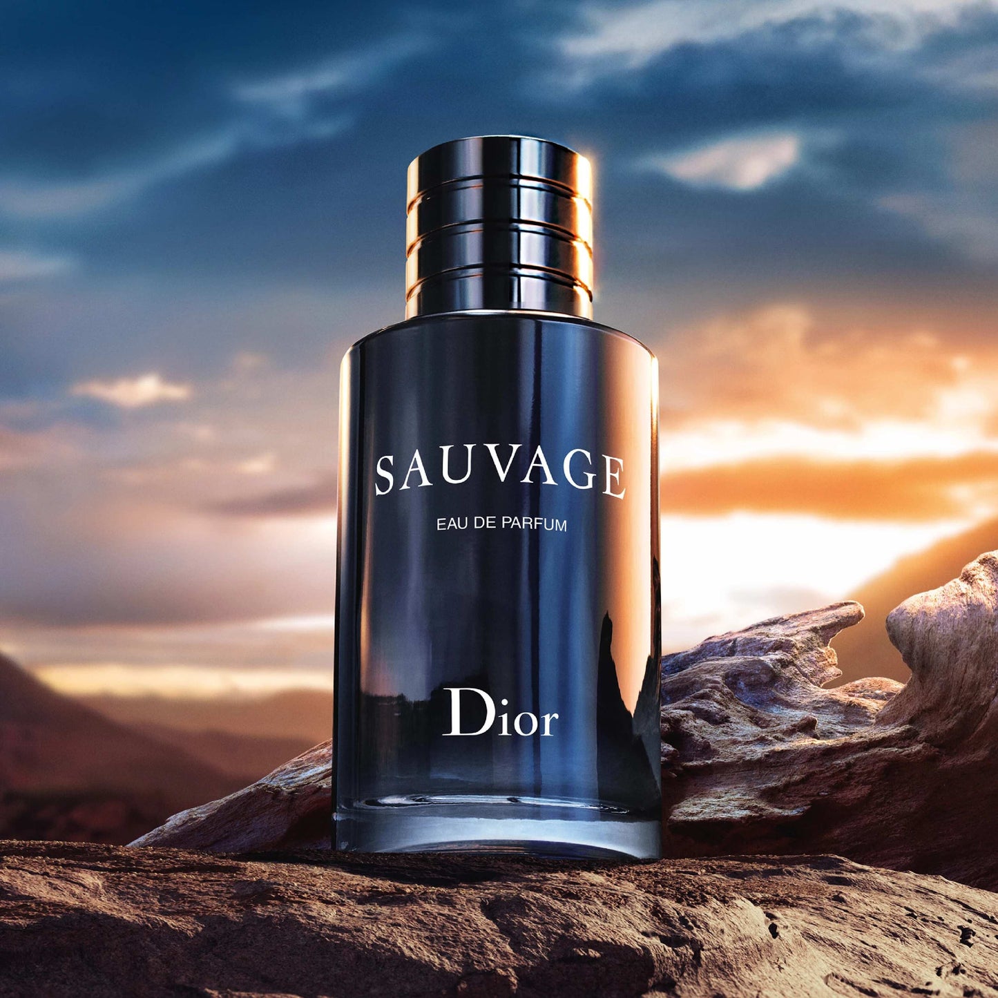 COMBO 2X1 PERFUMES IMPORTADOS – DIOR SAUVAGE + ONE MILLION ¡LIQUIDACIÓN DE STOCK!